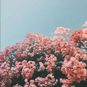 Meet your Posher, Claire